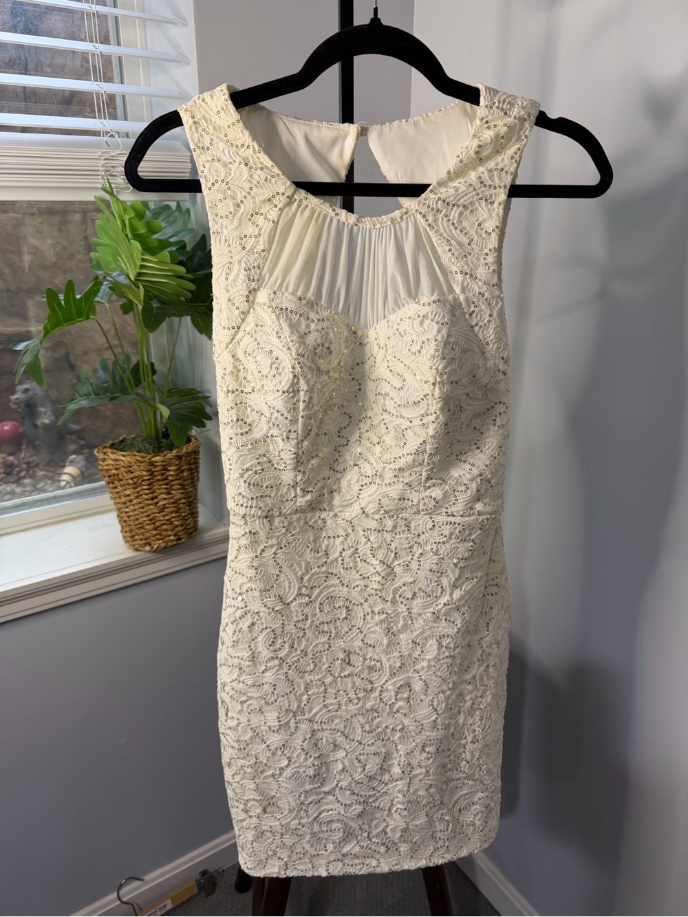 City Triangles Ivory Lace Mini Dress